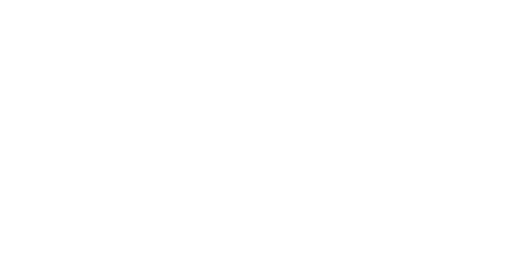 Xander Logo no Slogan White on Transparent