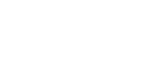 fortune logo 2x1