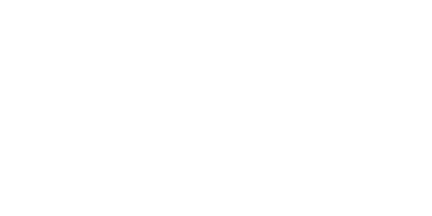 fortune logo 2x1 fortune logo 2x1