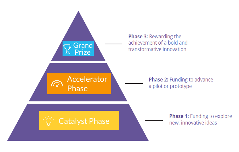 Healthy Longevity Challenge Phases